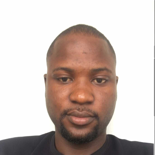 Adesoji J.