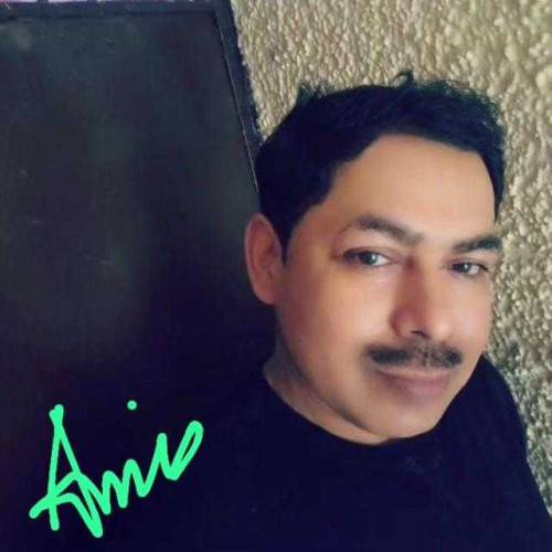 Anees p.