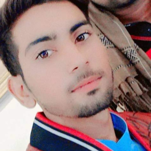 Shahzaib G.