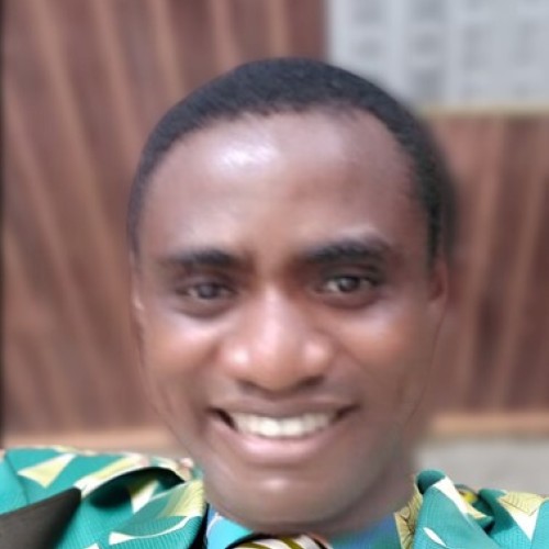 Ugochukwu N.