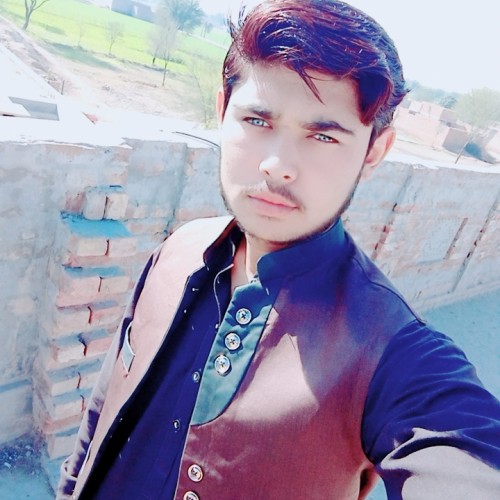 shahzaib r.